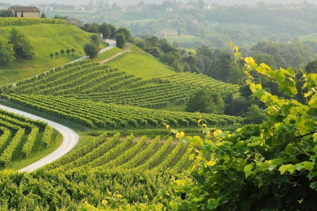 La Casa Di M : D M. Villa Breda di Piave Ngoại thất bức ảnh